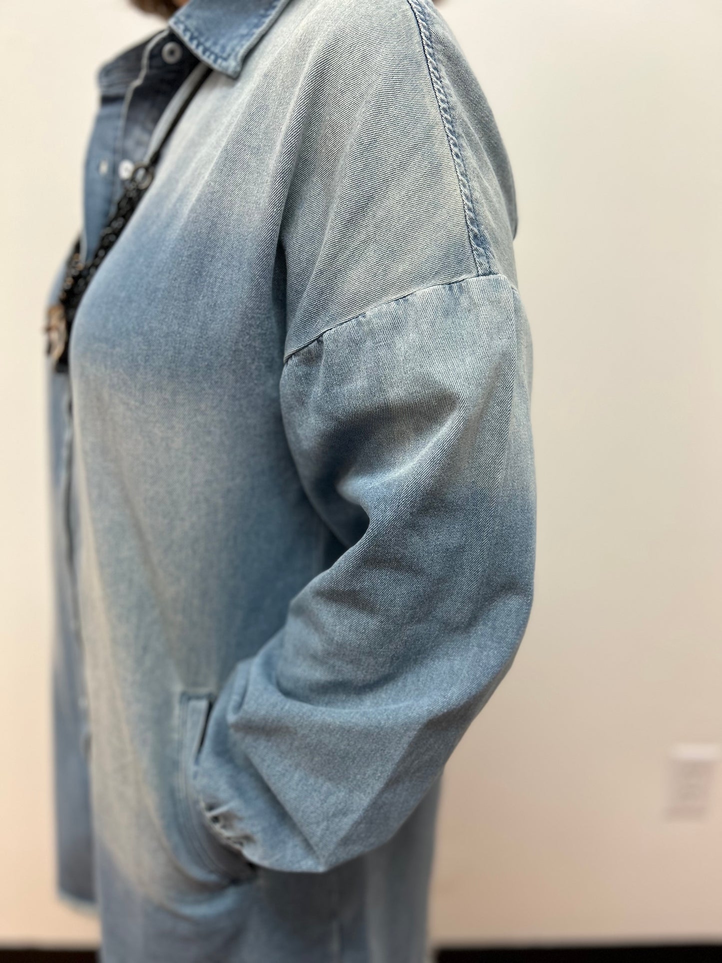 Risen Denim Shirt Dress