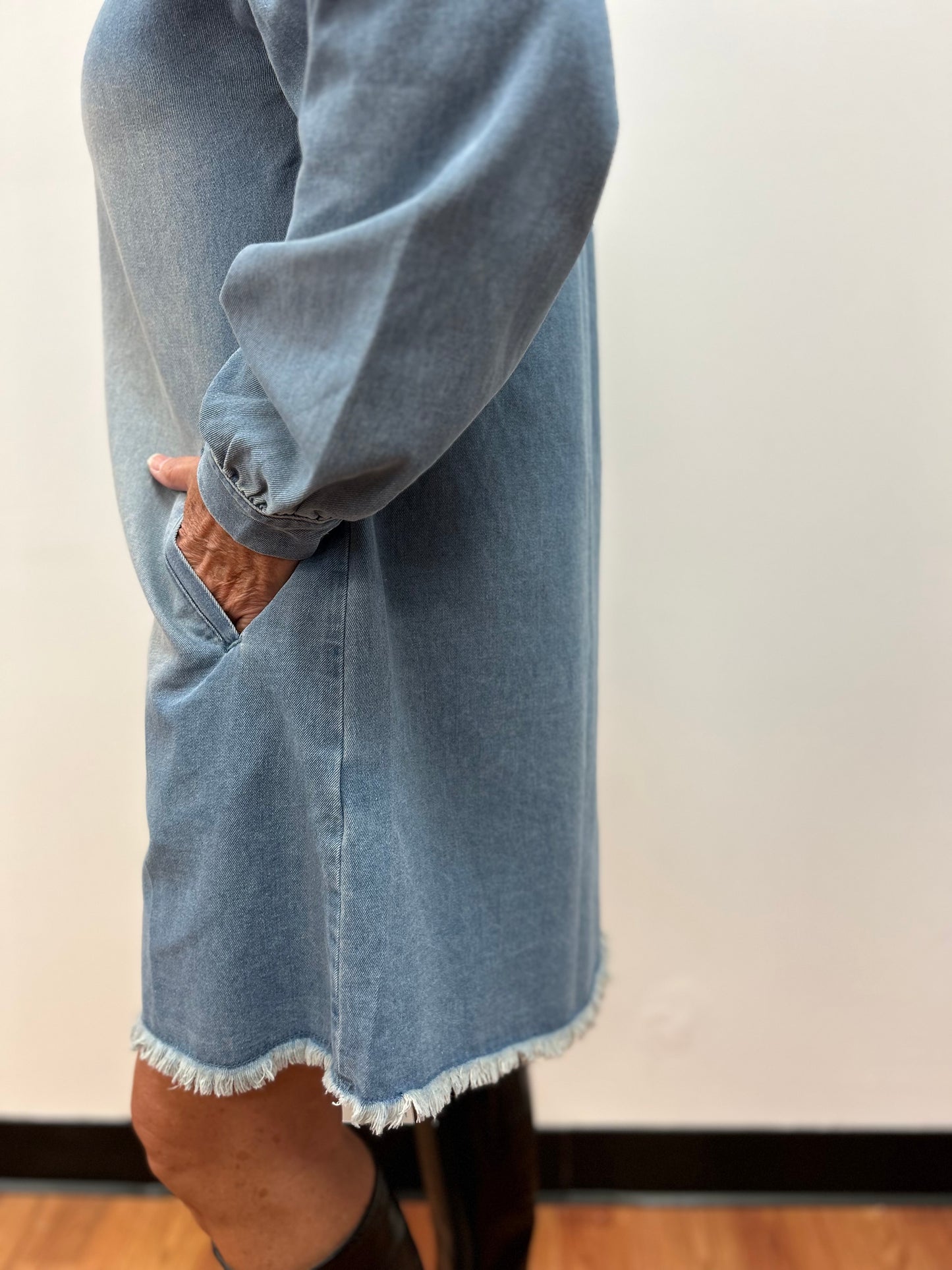 Risen Denim Shirt Dress