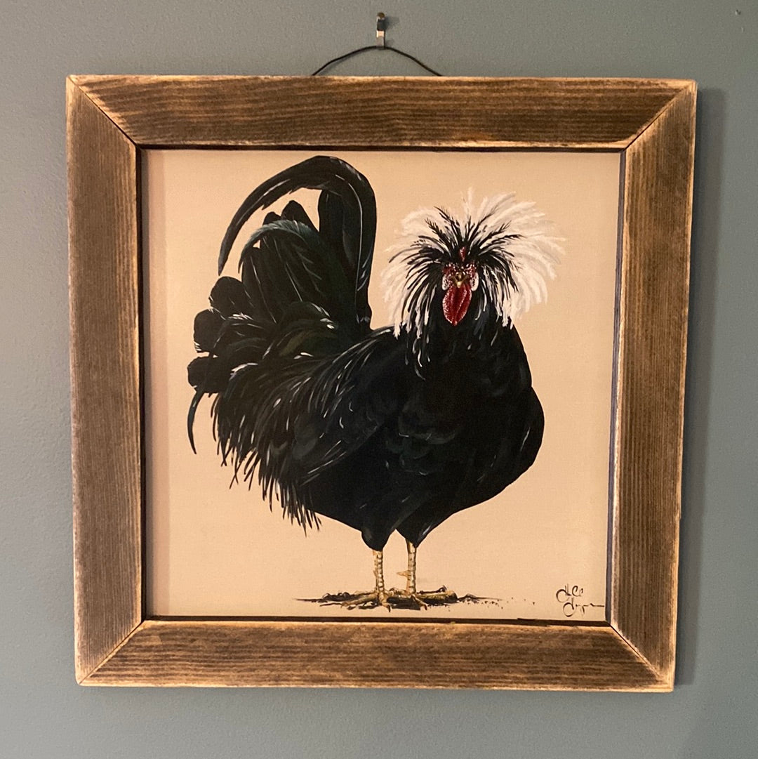 JM-Rooster Fro (Gina B’s)