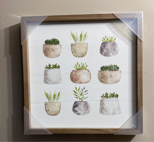 KH-Succulents (Gina B’s)